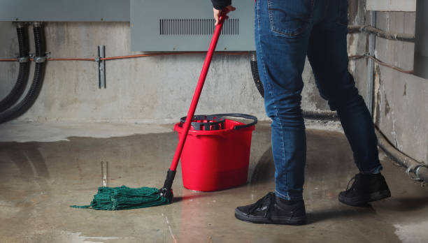 Carpet water damage restoration in Prudenville, MI