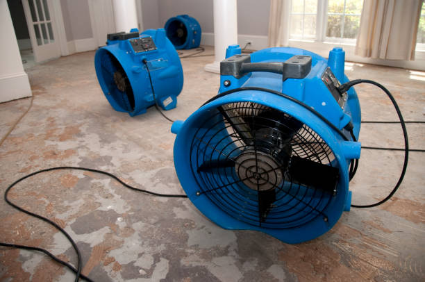 Best Sewage cleanup and water damage restoration  in Prudenville, MI