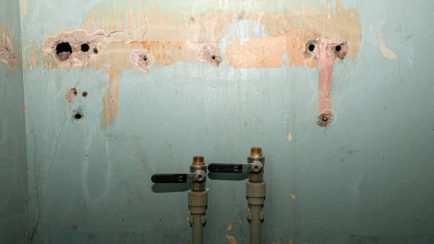 Reliable Prudenville, MI Water damage restoration Solutions
